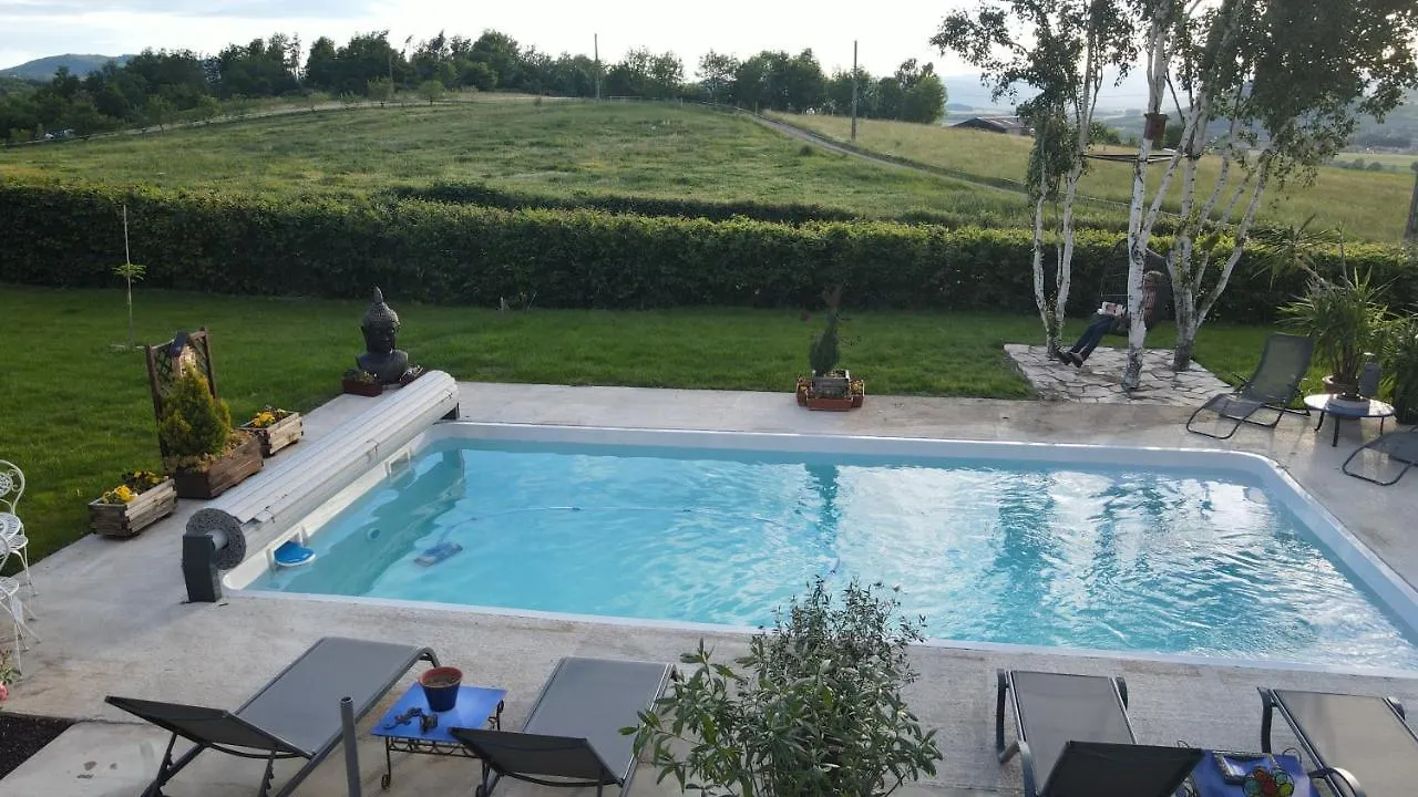 La Cle Des Anges Avec Piscine Chauffee Apartment Egliseneuve-pres-Billom
